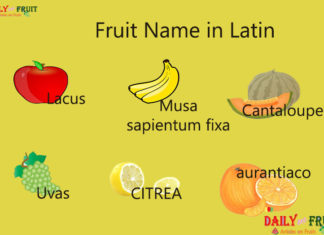 Fruit Name in Latin Fruit Name in Latin