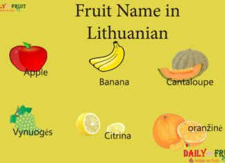 Fruit Name in Lithuanian Fruit Name in Lithuanian