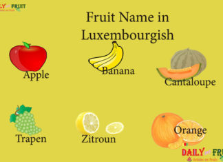 Fruit Name in Luxembourgish Fruit Name in Luxembourgish