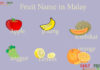 Fruits Name in Malay Fruit Name in Malay