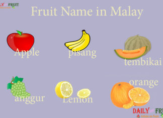 Fruits Name in Malay Fruit Name in Malay