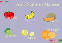 Fruits Name in Maltese Fruit Name in Maltese