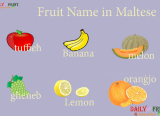Fruits Name in Maltese Fruit Name in Maltese