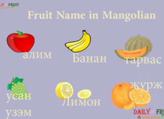 Fruit Name in Mangolian Fruit Name in Mangolian