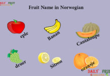 Fruit Names in Norwegian Fruit Name in Norwegian