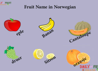 Fruit Names in Norwegian Fruit Name in Norwegian