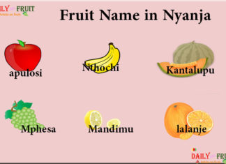 Fruit Names in Nyanja Fruit Name in Nyanja