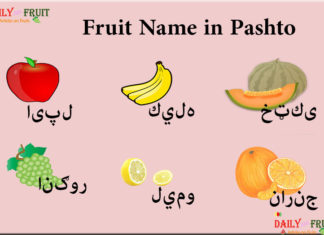 List of Fruit Names in Pashto Language Fruit Name in Pashto