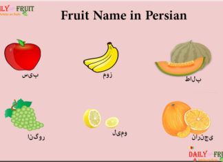 List of Fruit Names in Persian Language Fruit Name in Persian
