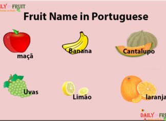 List of Fruit Names in Portuguese Language Fruit Name in Portuguese