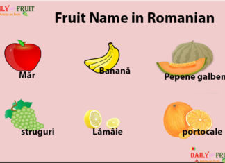 List of Fruit Names in Romanian Language Fruit Name in Romanian