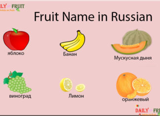 List of Fruit Names in Russian Language Fruit Name in Russian