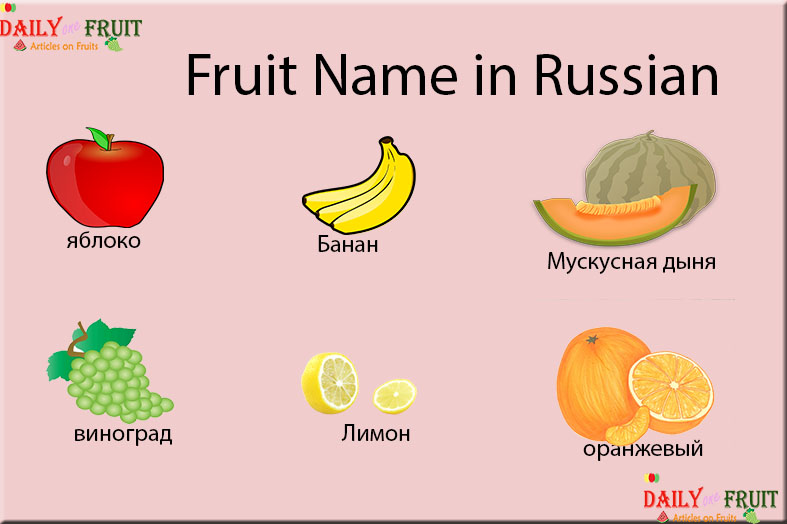 Fruit перевод. Fruit names. Fruit Fruits разница. Fruits in Russian. Фруктовая фамилия.