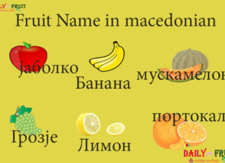 Fruits Name in macedonian Fruit Name in macedonia