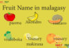 Fruits Name in malagasy Fruit Name in malagasy