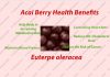 Interesting Health benefits of Acai Berry and side effects Interesting Health benefits of Acai Berry and side effects