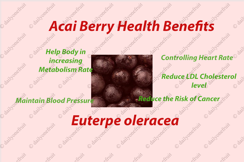 Interesting Health benefits of Acai Berry and side effects