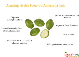 Amazing Health Facts On Ambarella Fruit Amazing-Facts-On-Ambarella-fruit