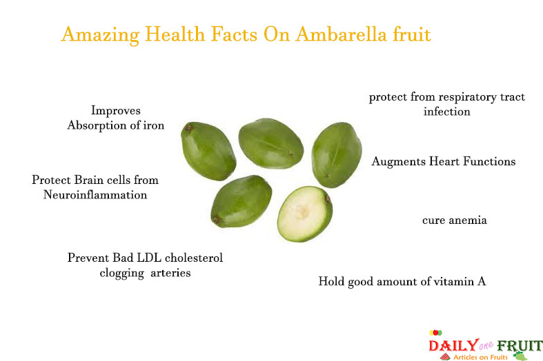Amazing-Facts-On-Ambarella-fruit