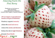Amazing Health Facts On Pine Berry Fruit Amazing-Facts-On-Pine-Berry