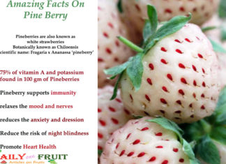 Amazing Health Facts On Pine Berry Fruit Amazing-Facts-On-Pine-Berry