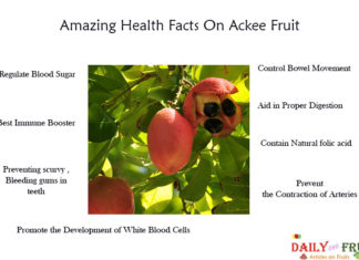 Amazing Health Facts On Ackee Fruit Amazing-Health-Facts-On-Ackee-Fruit