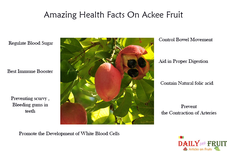 Amazing-Health-Facts-On-Ackee-Fruit
