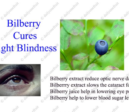 Bilberry Extract Reduce Night Blindness Bilberry Cure Night Blindness