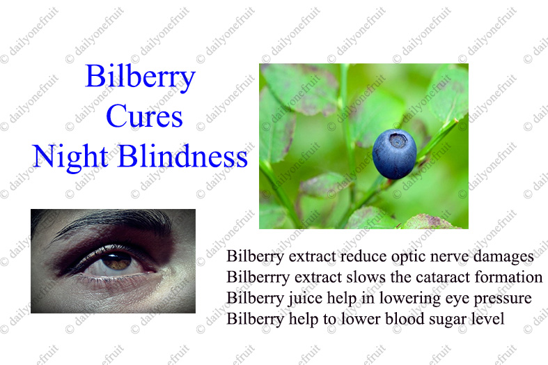 Bilberry Cure Night Blindness