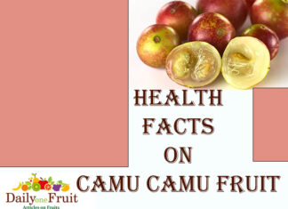 Interesting Facts On Camu Camu Fruit FACTS ON CAMU CAMU