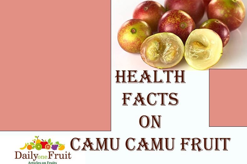 FACTS ON CAMU CAMU