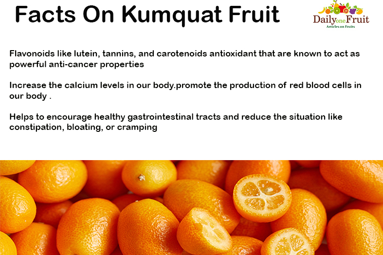 FACTS-ON-KUMQUAT-FRUIT