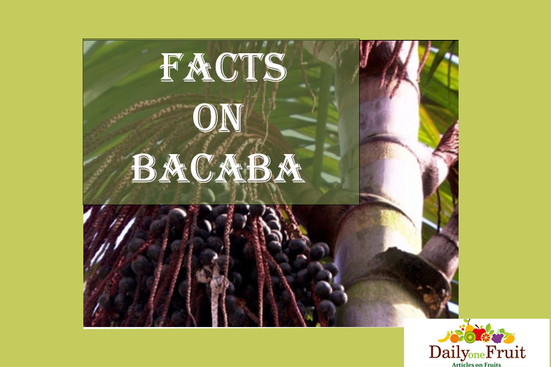 Health FACTS oN BACABA