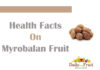 Interesting Facts On Myrobalan Fruit Facts On Myrobalan fruit