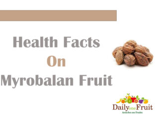 Interesting Facts On Myrobalan Fruit Facts On Myrobalan fruit