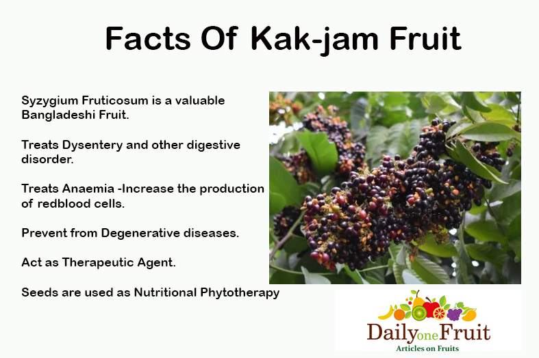 Facts-Of-Kakjam-Fruit