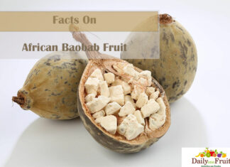 Facts On African Baobab Fruit Facts On African Baobab Fruit