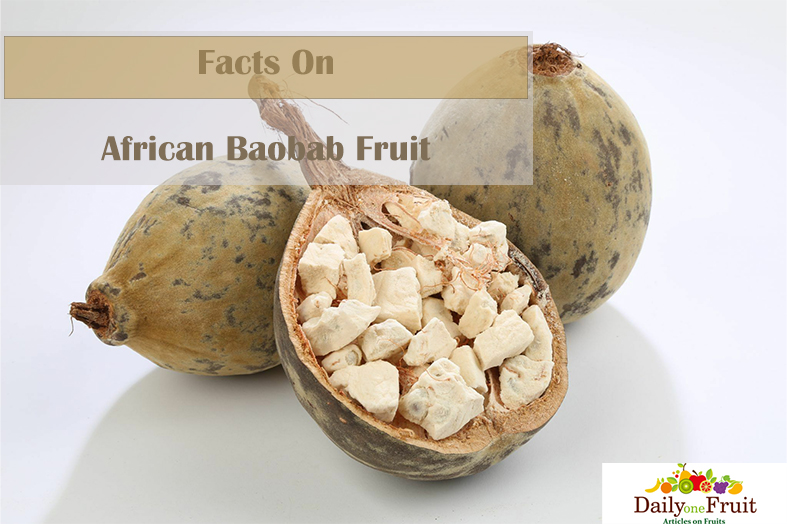 Facts On African Baobab Fruit
