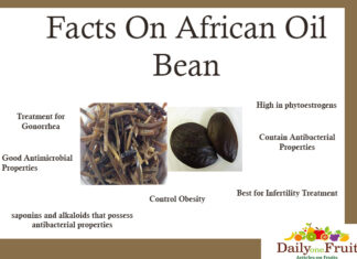 Facts On African Oil Bean Facts On African Oil Bean