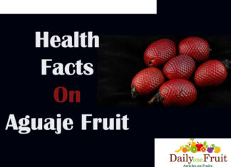 Health Facts On Aguaje Fruit Facts On Aguaje fruit