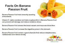 Facts On Banana Passion Fruit Facts On BANANA PASSION FRUIT