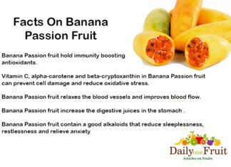 Facts On Banana Passion Fruit Facts On BANANA PASSION FRUIT