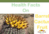 Health Facts On Barrel Cactus Fruit Health Facts On Barrel Cactus