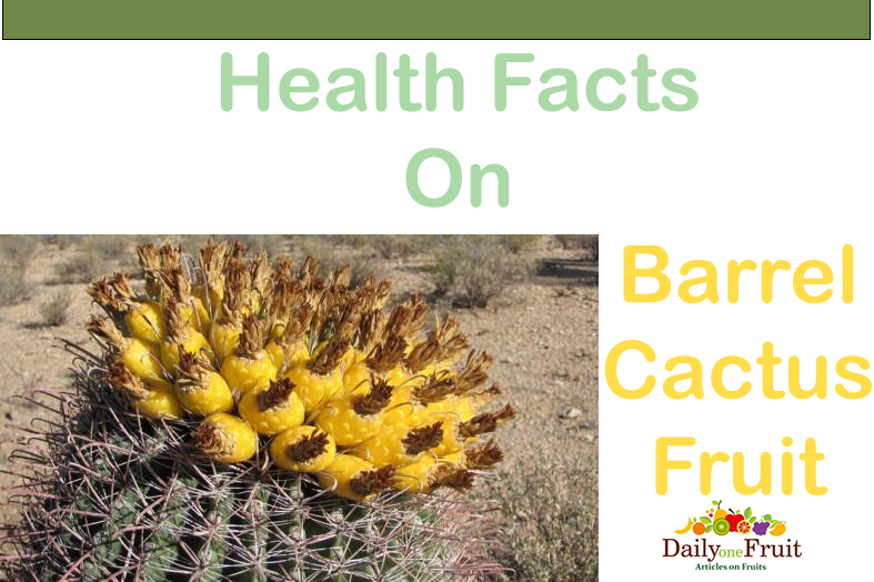 Health Facts On Barrel Cactus