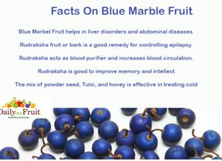 Interesting Facts On Blue Marble Fruit Facts-On-Blue-Marble-Fruit
