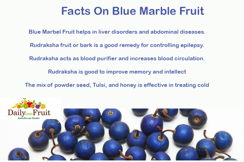 Facts-On-Blue-Marble-Fruit