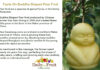 Facts On Buddha Shaped Pear Fruit Facts On Buddha shaped Fruit
