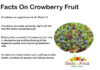 Health Facts On Crowberry Fruit Facts On Crowberry