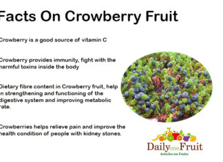 Health Facts On Crowberry Fruit Facts On Crowberry