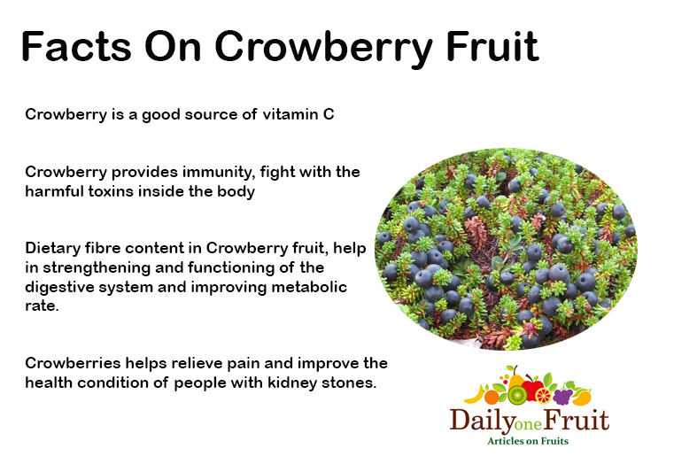 Facts On Crowberry